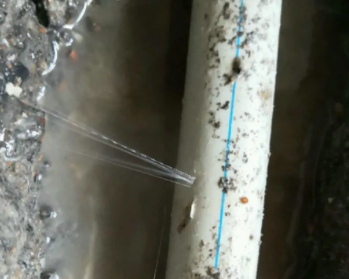 寻甸卫生间测漏水多少钱